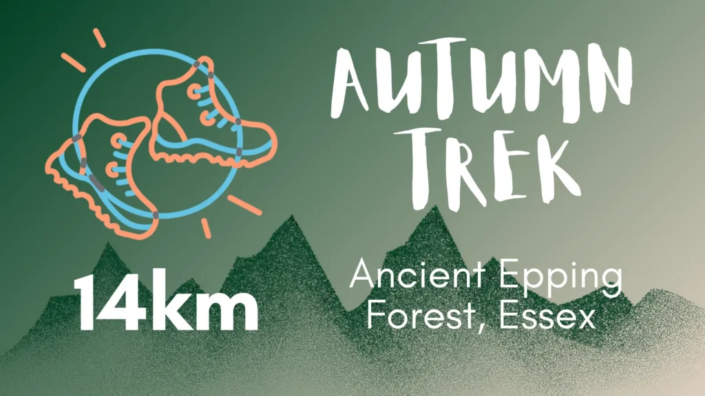 Path Community 14 km autumn trek in Epping Forest, Essex