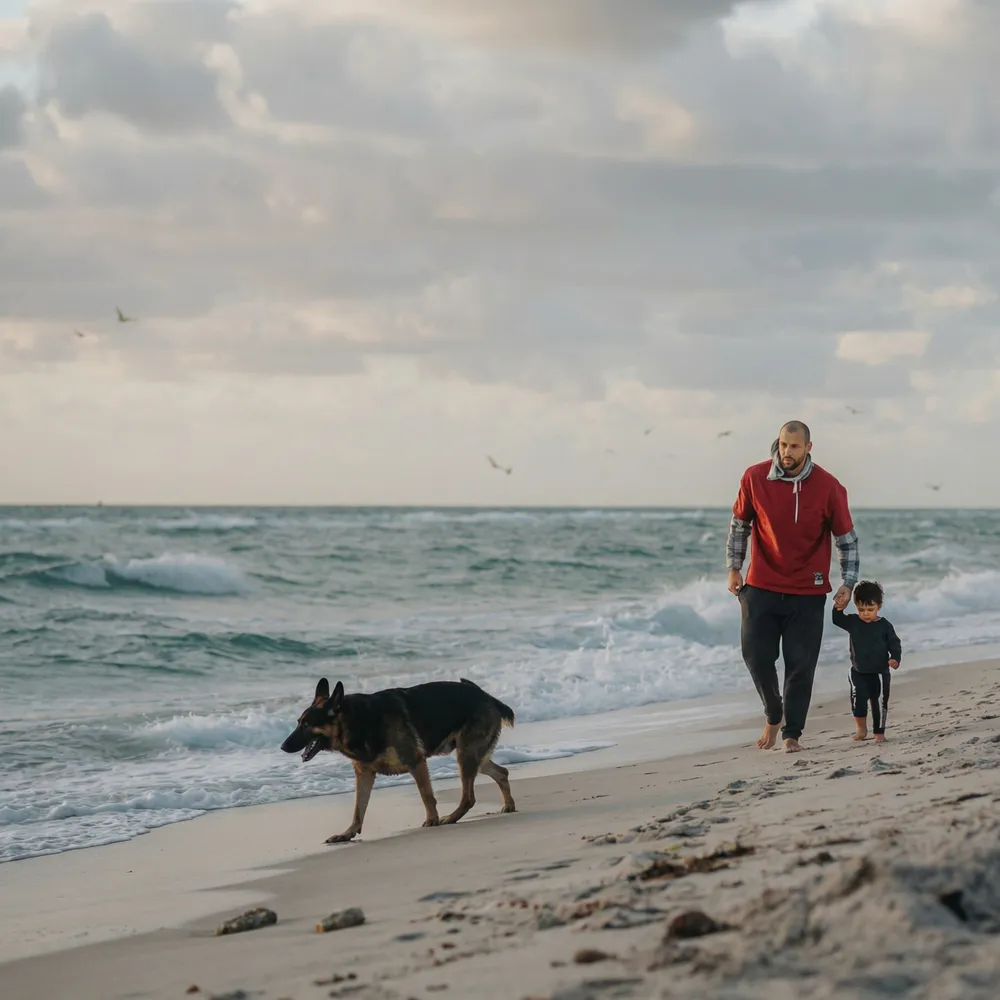 Dog walking along a sandy beach, Path Community